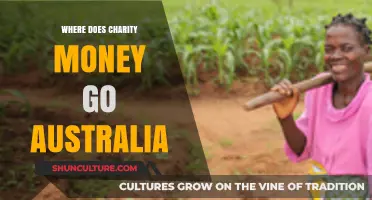 Tracing Charity Dollars: Where Does Your Money Go in Australia?