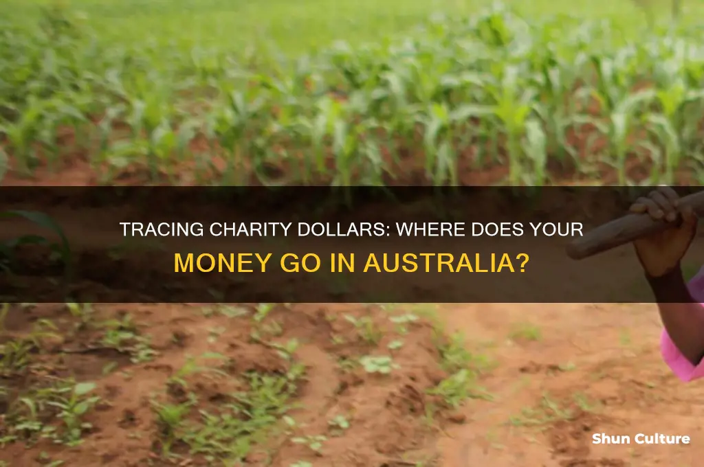 where does charity money go australia