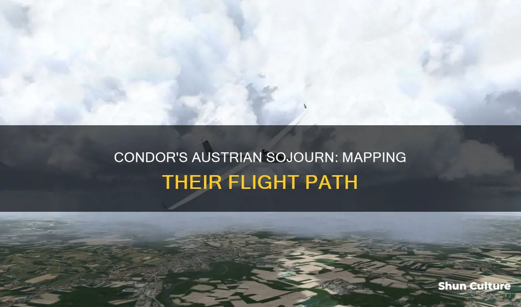 where does condor fly in austria