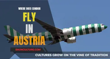 Condor's Austrian Destinations: Where Does the Airline Fly Domestically?