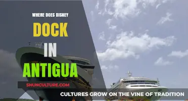 Disney Cruise Line's Antigua Port: Where to Dock and Explore