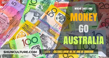 Where Does Fine Money Go in Australia? Uncovering the Financial Flow