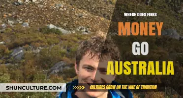 Where Does Fines Money Go in Australia? Uncovering the Allocation Process