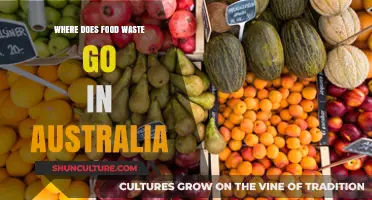 Australia's Food Waste Journey: From Plate to Where?