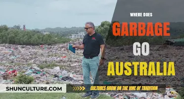 Where Does Australia's Garbage Go? Uncovering Waste Disposal Secrets
