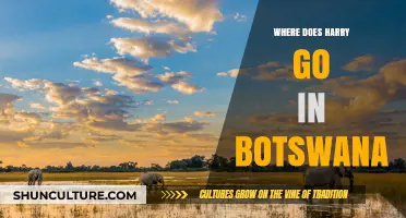 Harry's Botswana Adventure: Exploring the Wilds of Southern Africa