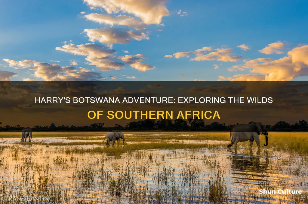 where does harry go in botswana