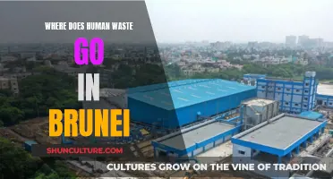 Human Waste Disposal Methods in Brunei: Where Does it Go?