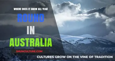 Australia's Eternal Winter: Where Snow Falls Year-Round in the Land Down Under