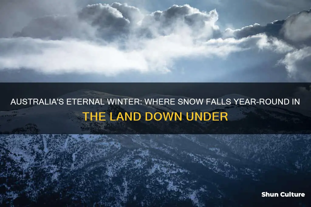 where does it snow all year round in australia