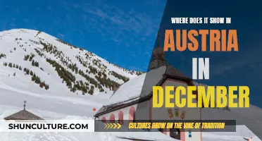 Snowy Austria: Best Places to Visit in December