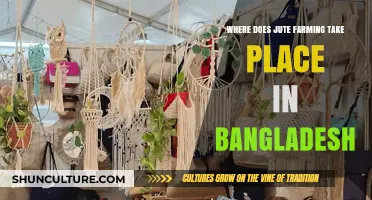 Exploring Bangladesh's Jute Farming Regions: Key Growing Areas Revealed