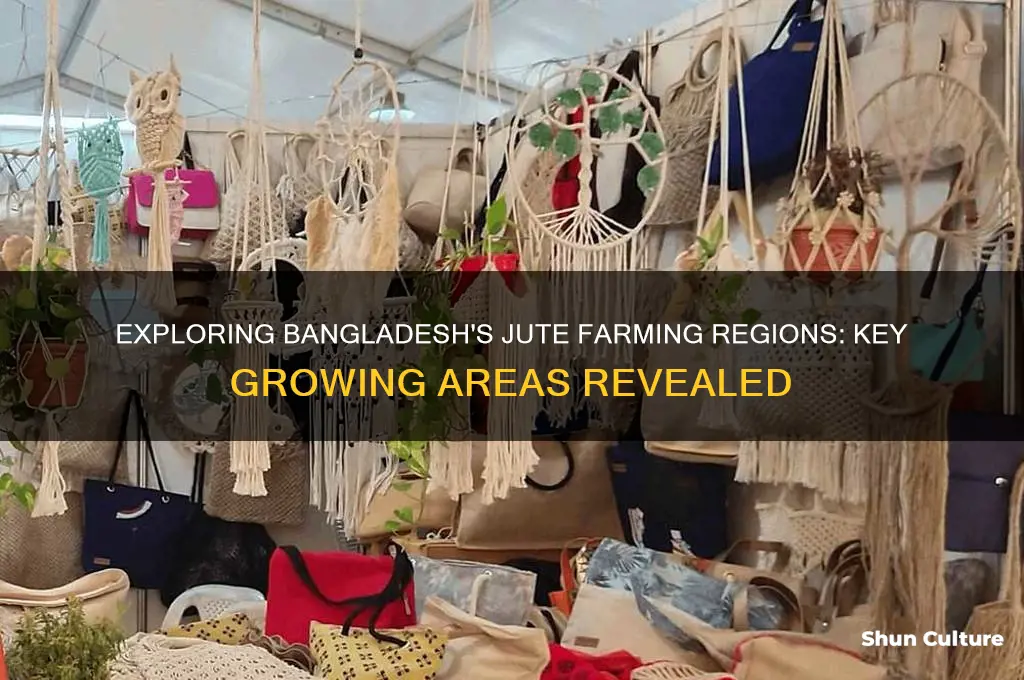 where does jute farming take place in bangladesh