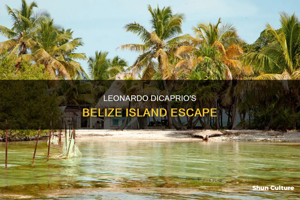 where does leonardo dicaprio live in belize