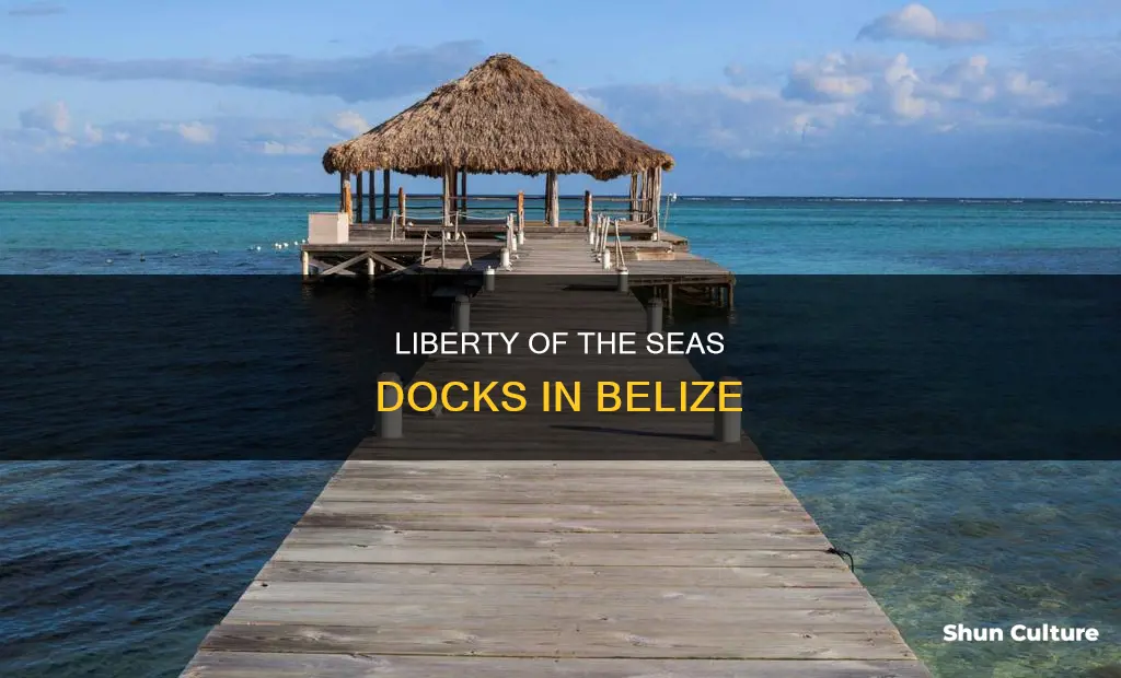 where does liberty of the seas dock in belize