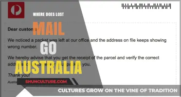 Unveiling Australia's Lost Mail Mystery: Where Do Missing Parcels End Up?