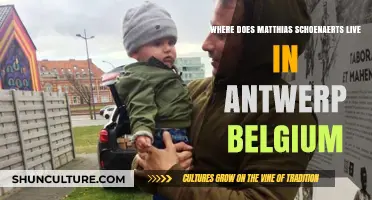 Exploring Antwerp: A Glimpse into Matthias Schoenaerts' Hometown Abode