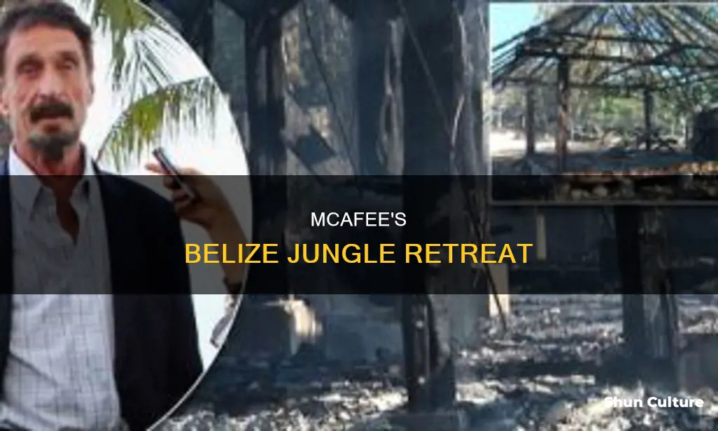 where does mcafee live in belize