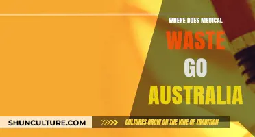 Australia's Medical Waste Journey: Disposal, Recycling, and Environmental Impact