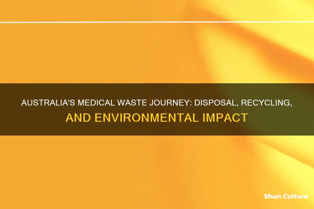 where does medical waste go australia