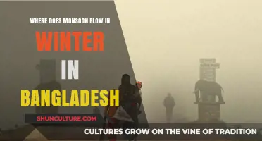Winter Monsoon Patterns: Bangladesh's Seasonal Rainfall Flow Explained