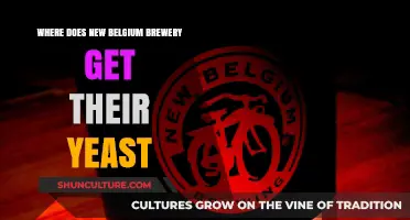 Exploring the Yeast Sources of New Belgium Brewery