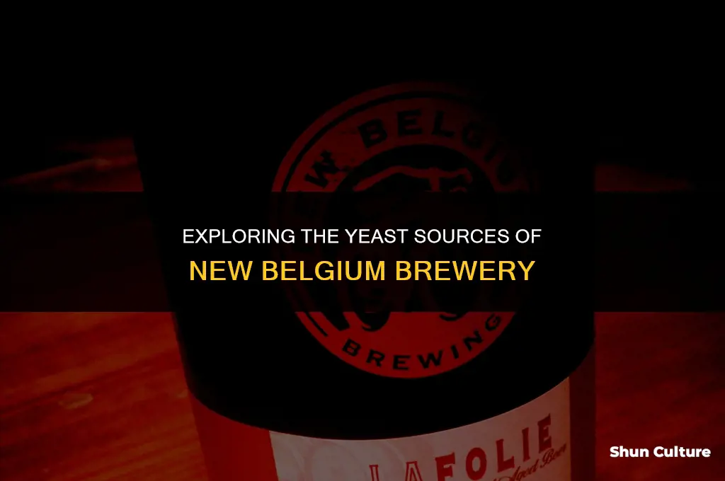 where does new belgium brewery get their yeast