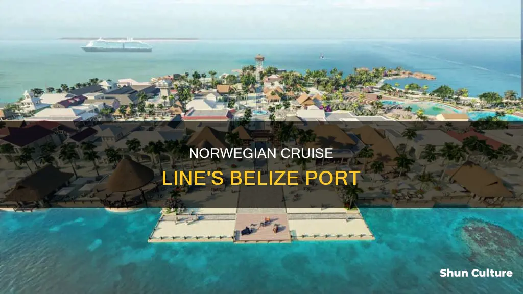 where does norwegian dock in belize