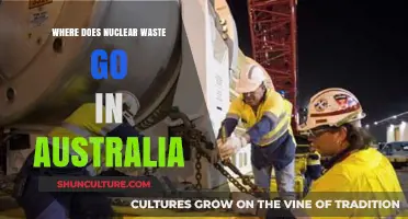 Australia's Nuclear Waste Disposal: Locations, Challenges, and Future Solutions