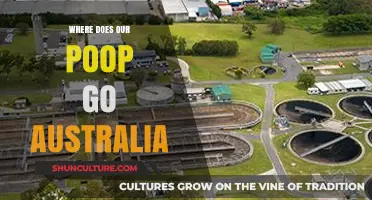 Where Does Our Poop Go? Australia's Wastewater Journey Explained
