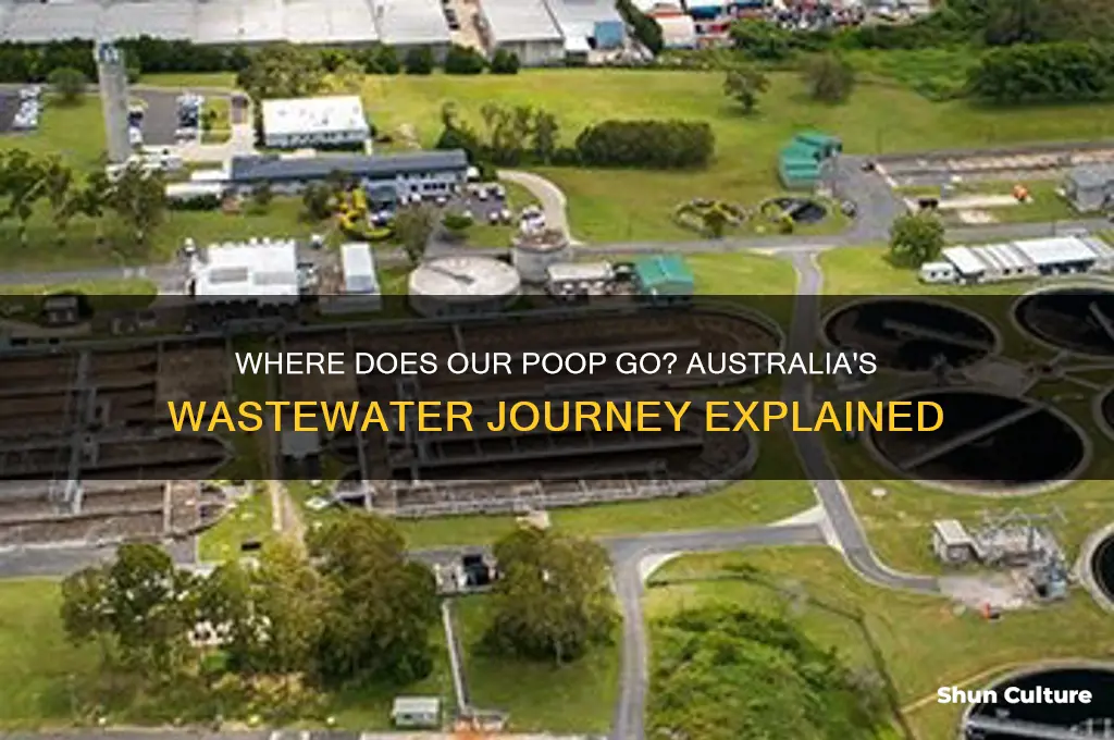 where does our poop go australia