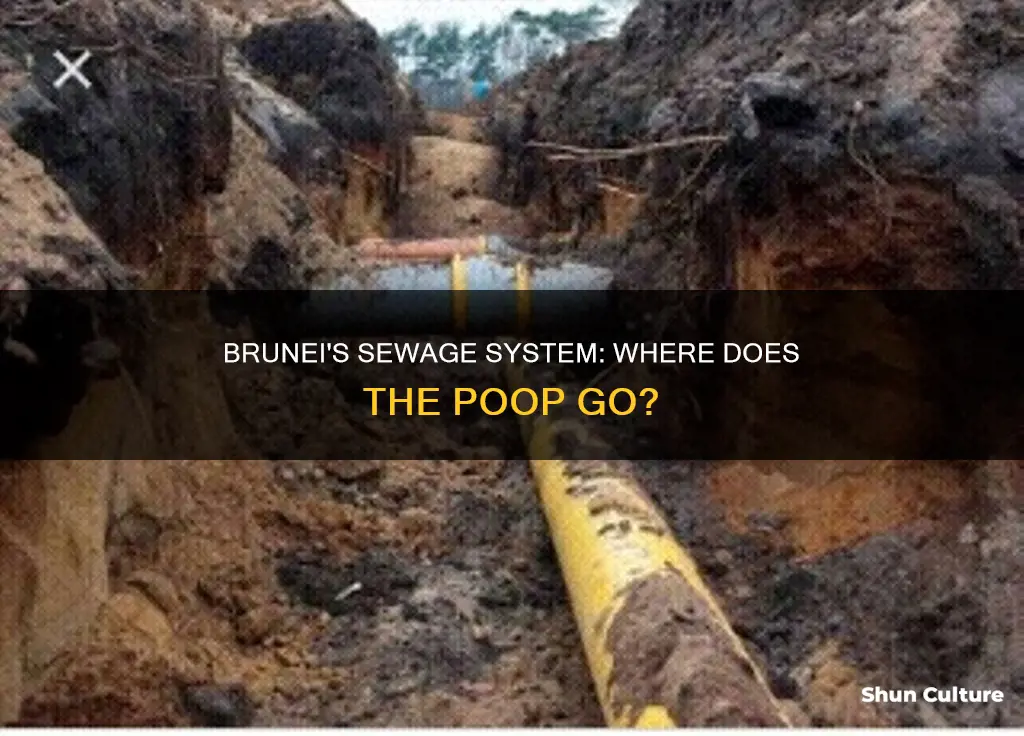 where does poop go in brunei