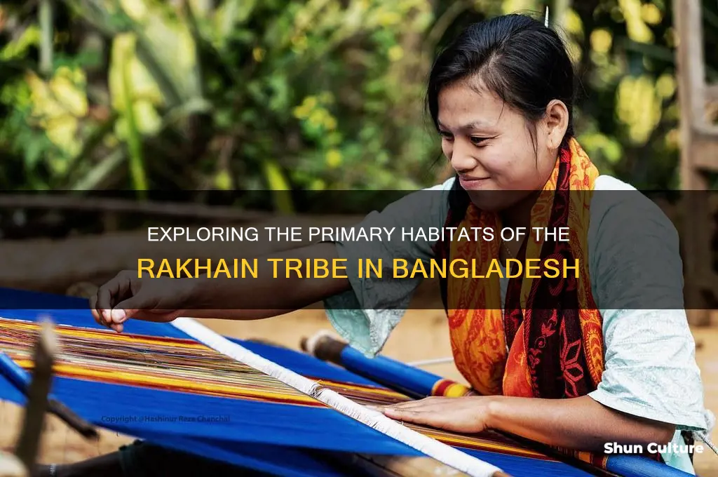 where does rakhain tribe mainly live in bangladesh