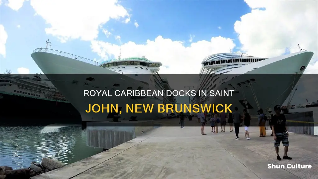 where does royal caribbean dock in saint john new brunswick