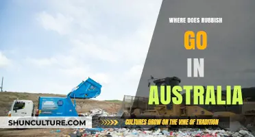 Australia's Waste Journey: From Bins to Landfills and Beyond