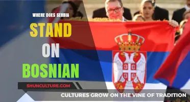 Serbia's Stance on Bosnia: Geopolitical Dynamics and Regional Relations