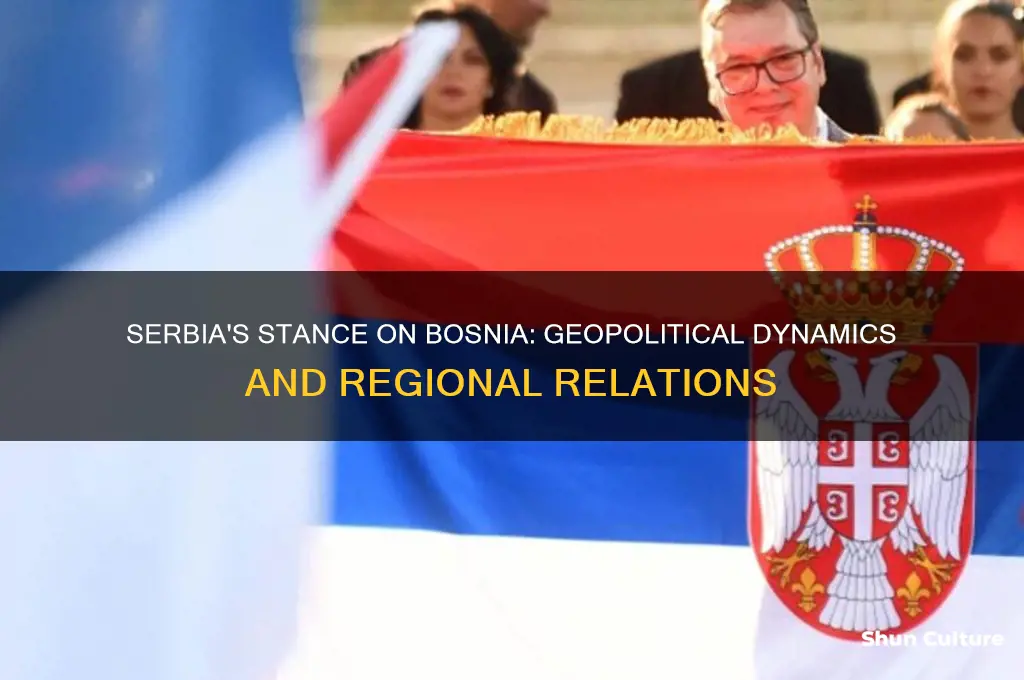 where does serbia stand on bosnian