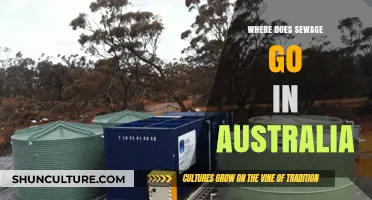Australia's Sewage Journey: From Homes to Treatment Plants Explained