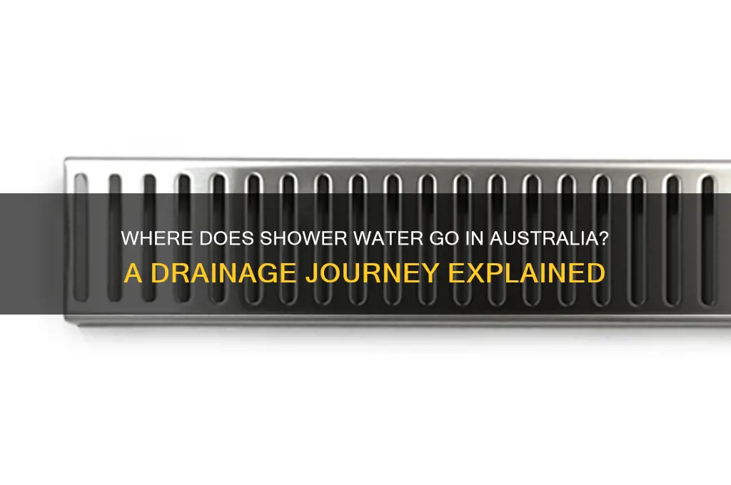 where does shower water go australia