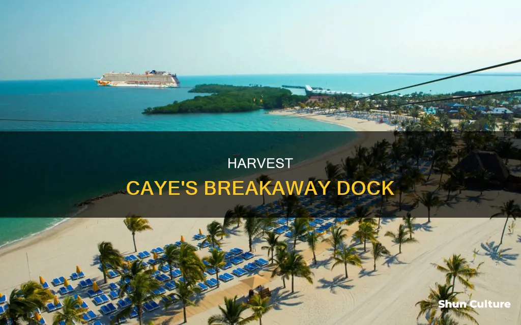 where does the breakaway dock in harvest caye belize