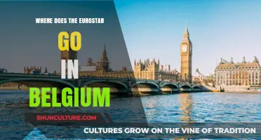 Exploring Belgium: Unveiling the Eurostar's Key Destinations