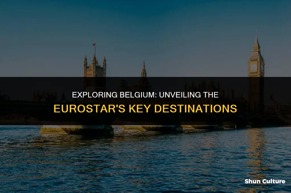 where does the eurostar go in belgium