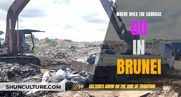 Brunei's Garbage Disposal: Where Does the Rubbish Really Go?