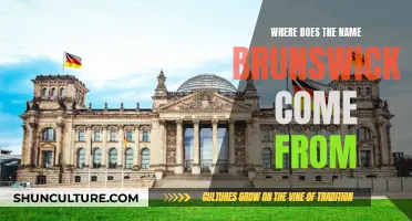 The German Roots of Brunswick