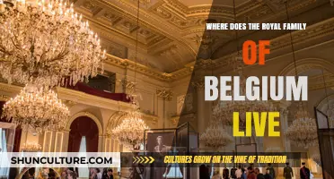 Exploring the Residences of Belgium's Royal Family: A Majestic Journey