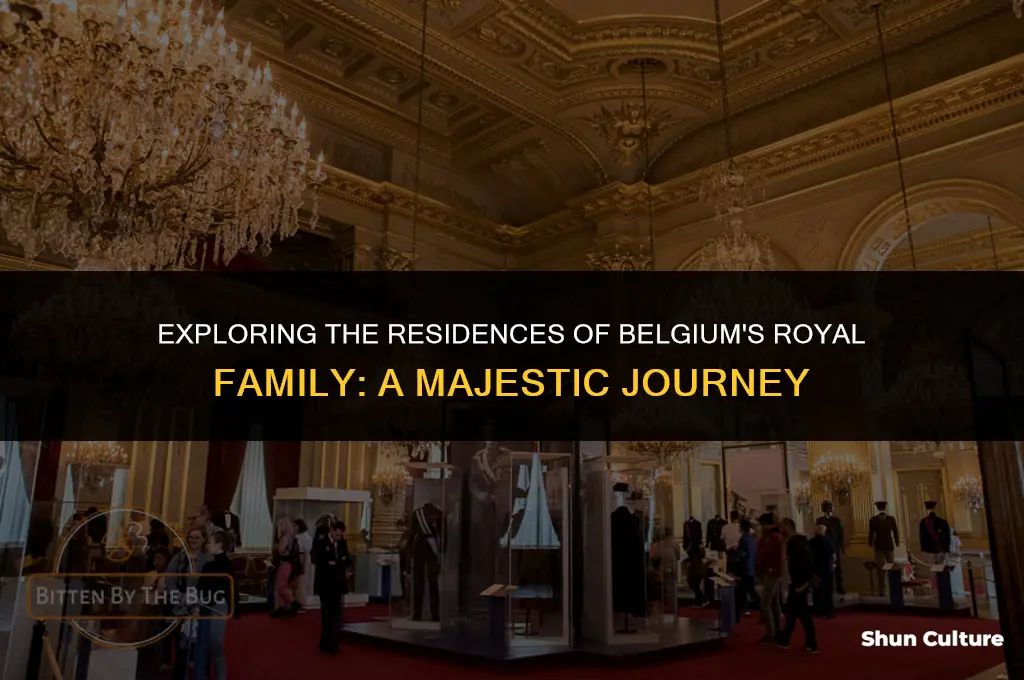where does the royal family of belgium live
