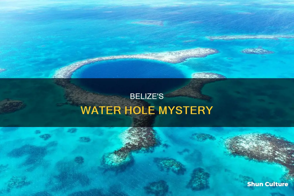 where does the water hole in belize lead