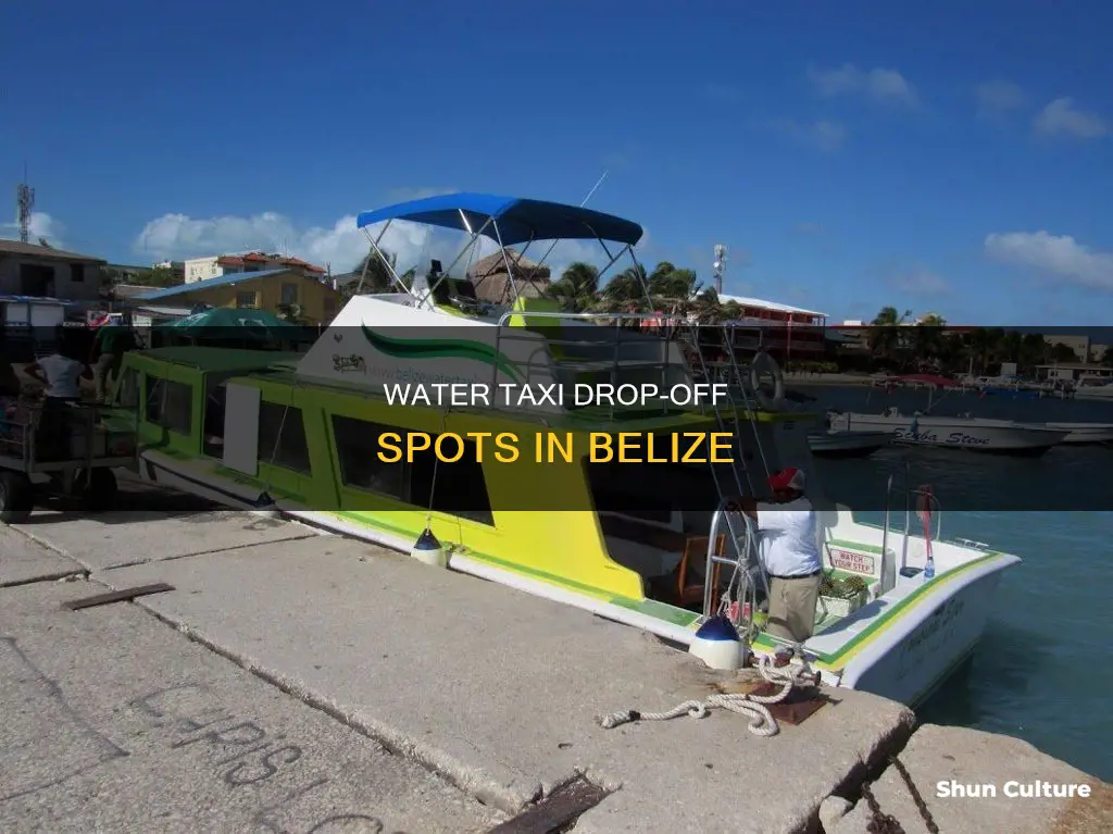 where does the water taxi drop you off in belize