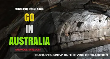 Australia's Sewer System: Tracing the Journey of Toilet Waste