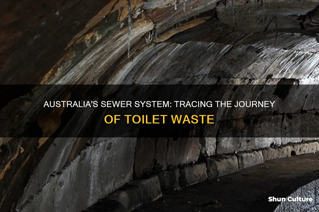 where does toilet waste go in australia